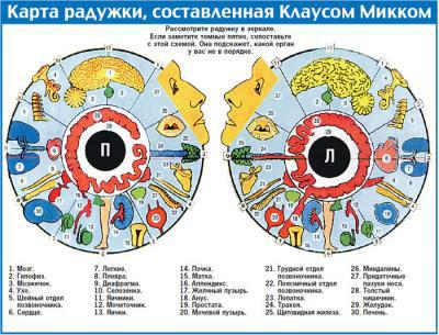 диагностика организма в Самаре